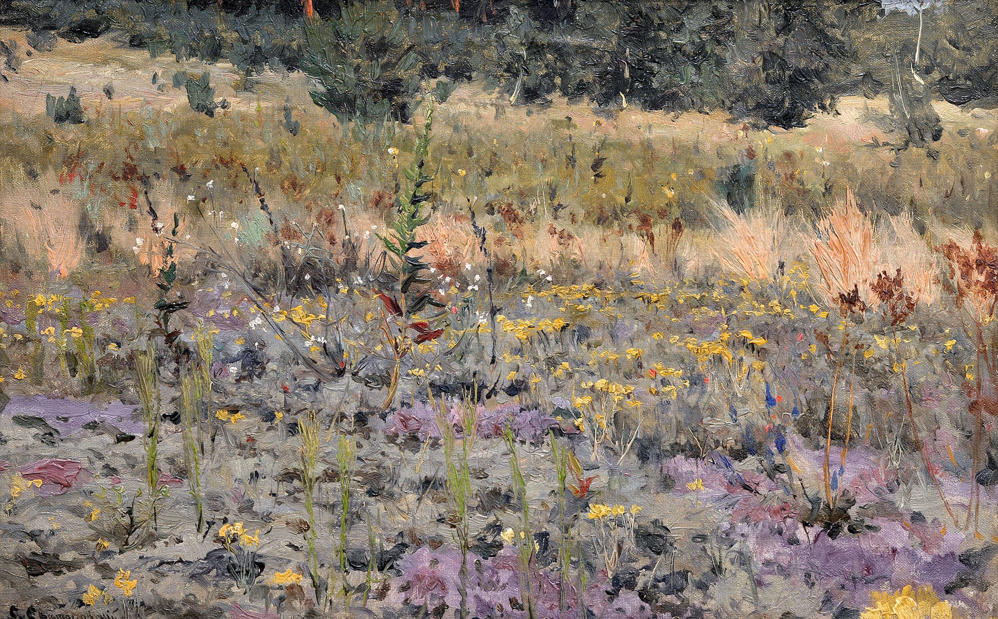 Lawn