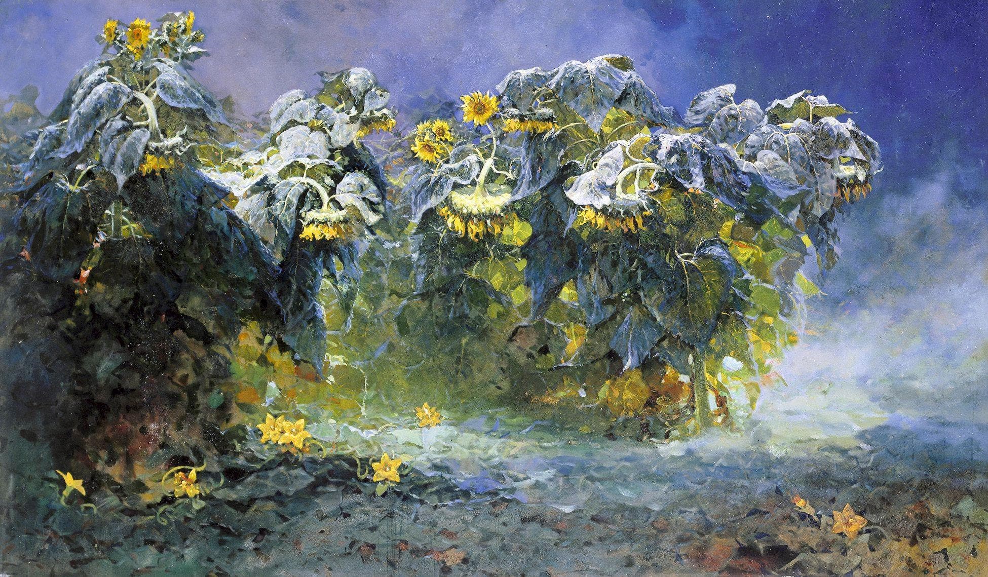 Sunflowers After the Rain