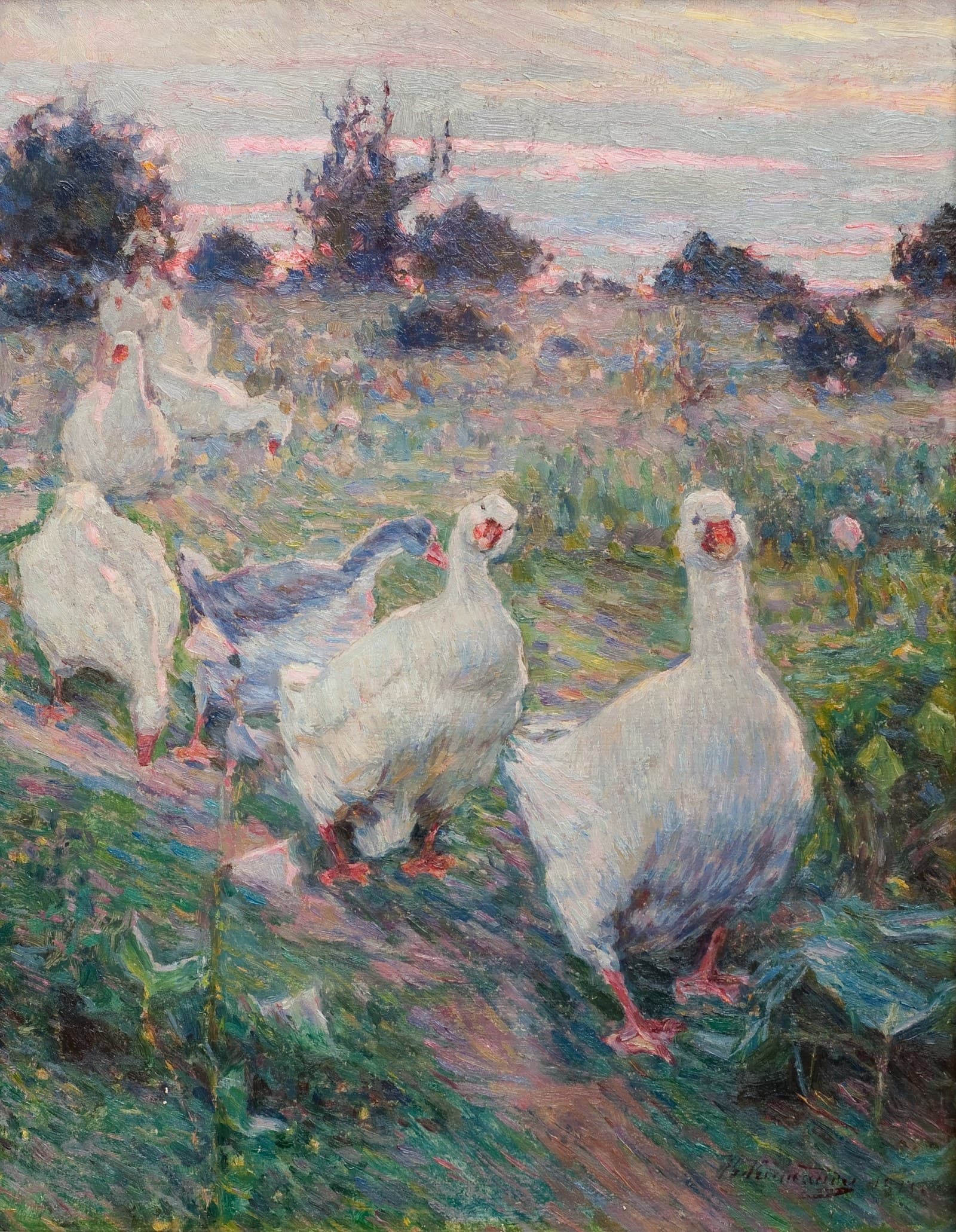 Geese