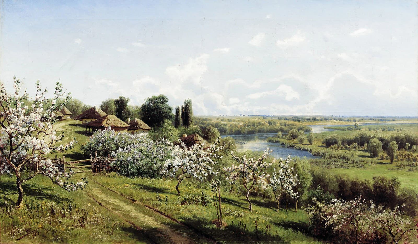 Apple Trees in Blossom. In Ukraine