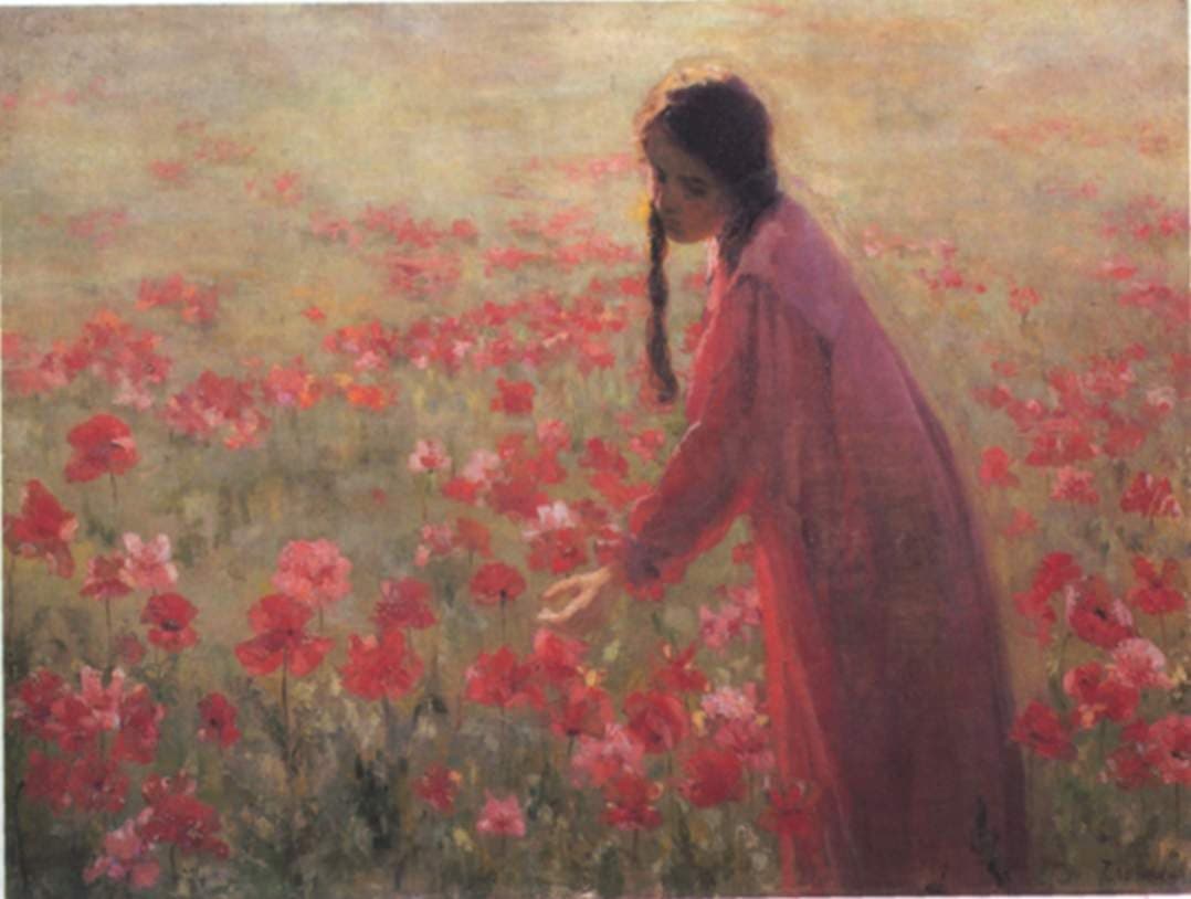 Poppies