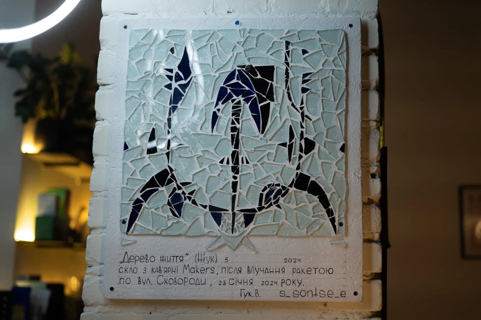 Tree of Life 5 (Beetle)