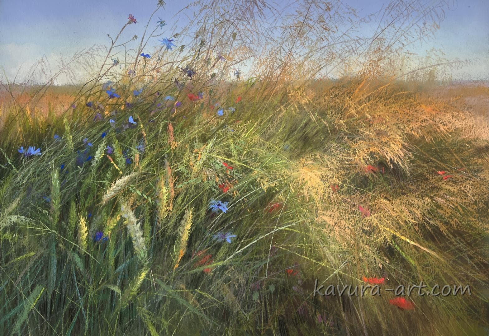 Fields of Ukraine