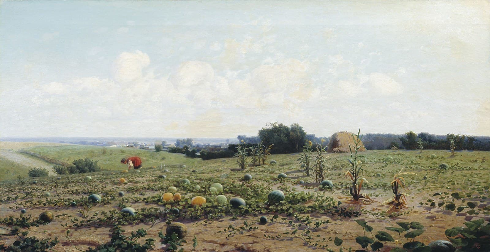 The Melon Field (Bakhcha)