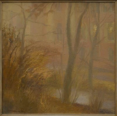Fog