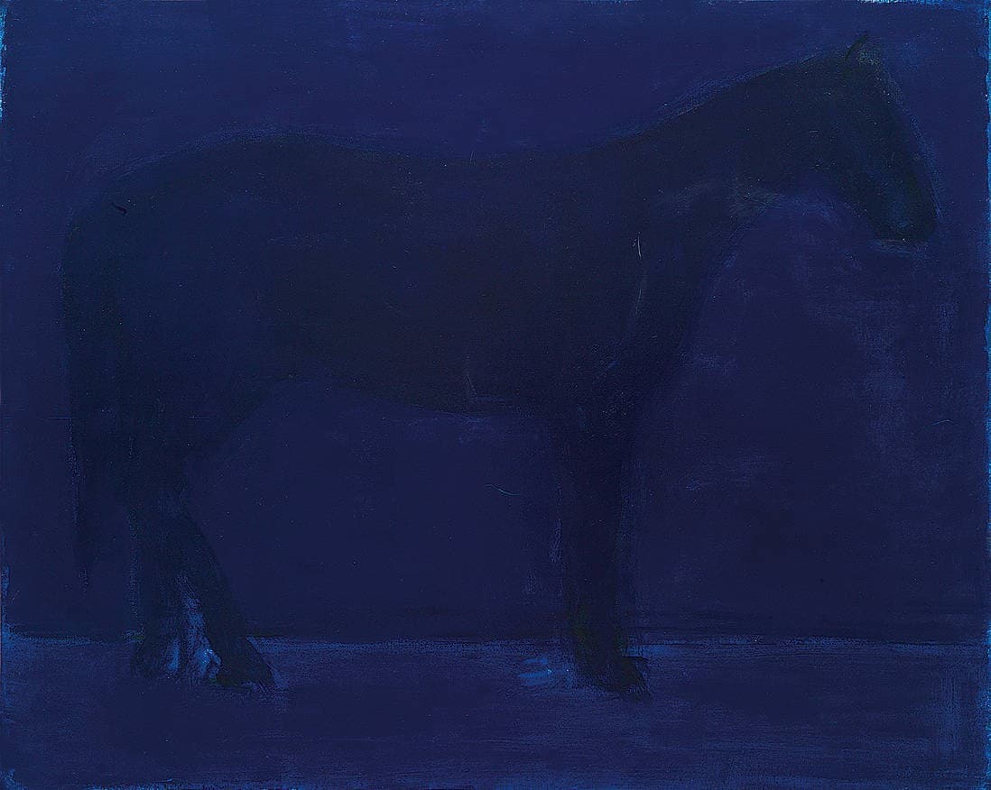 Horse. Night